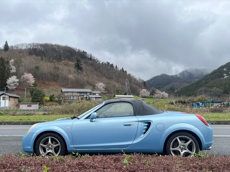 MR-SのMR-S・さくら🌸・菜の花に関するカスタム事例の投稿画像1枚目