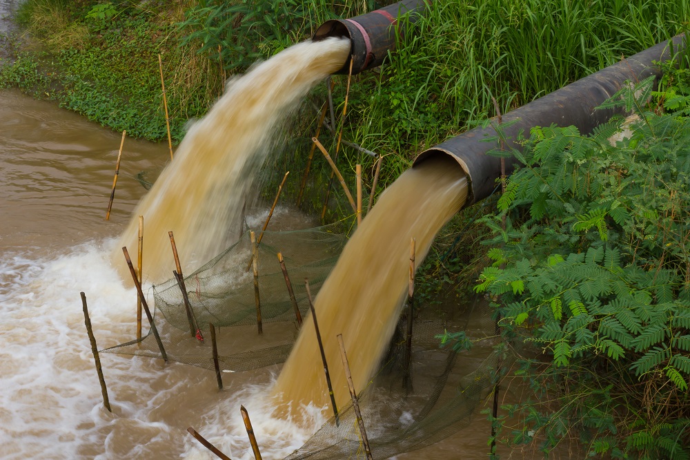 argumentative essay on sewage spill