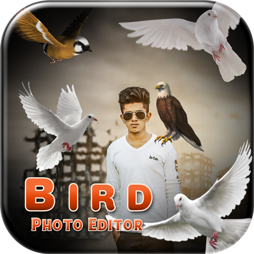 Bird Photo Editor  Background Changer