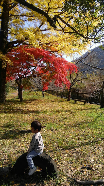 の投稿画像4枚目