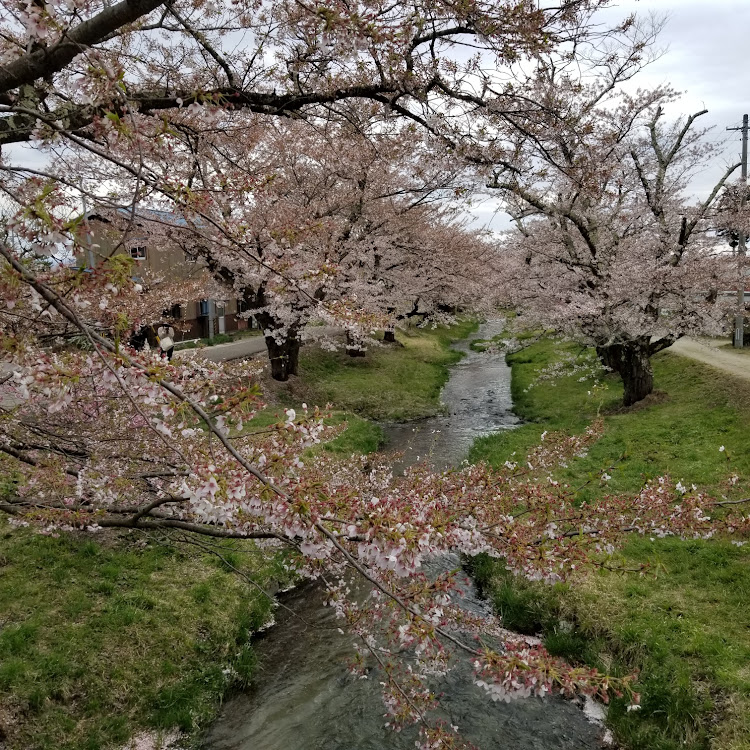 の投稿画像7枚目