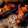 .
.
My Best Photo
.
.
NIKE AIR MAX 90 QS  MARS STONE/MAGMA ORANGE 19SP-I (CD0920-600)
.
.