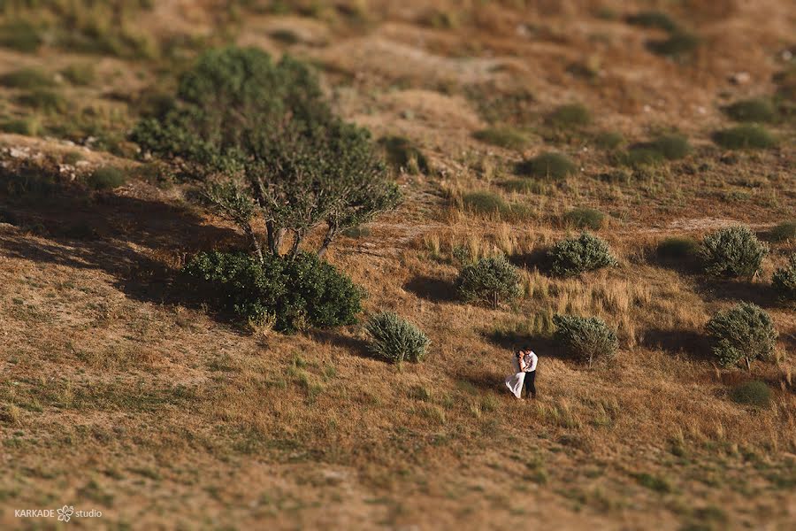 Düğün fotoğrafçısı Svetlana Stavceva (karkadestudio). 3 Ocak 2016 fotoları