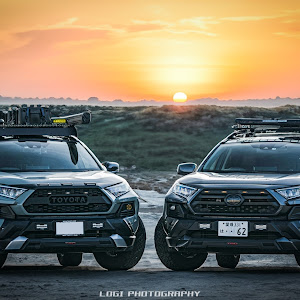 RAV4 MXAA54