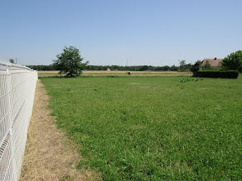 terrain à Saint-Pourçain-sur-Sioule (03)