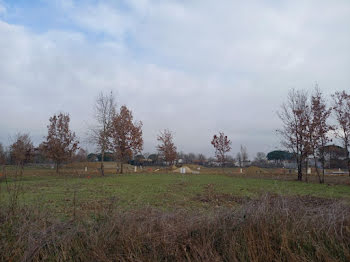 terrain à Montauban (82)