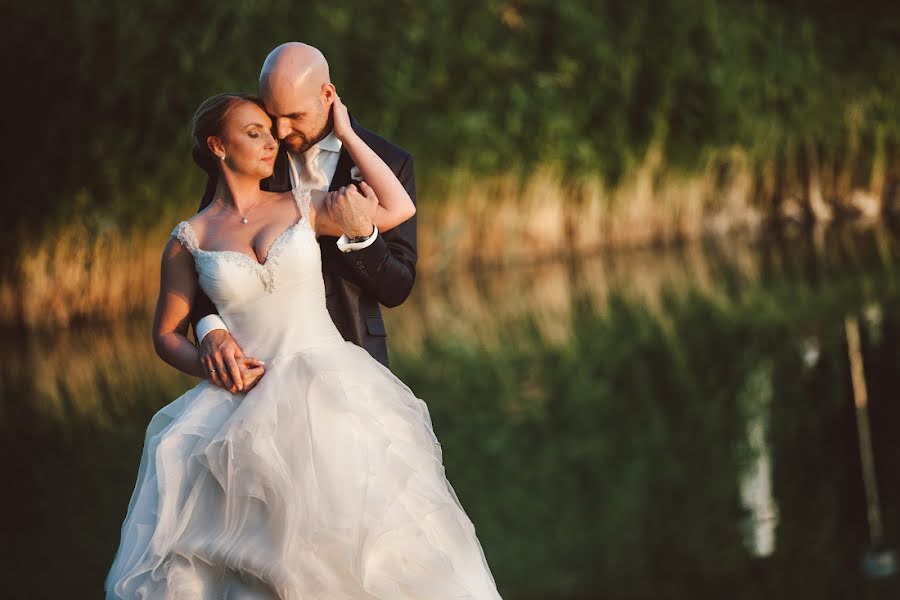 Jurufoto perkahwinan Csaba Molnár (molnarstudio). Foto pada 1 Ogos 2016