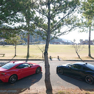 BRZ ZC6