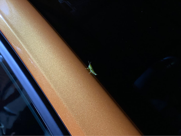 メガーヌ ハッチバックのdoku🇫🇷さんが投稿したカスタム事例の投稿画像1枚目