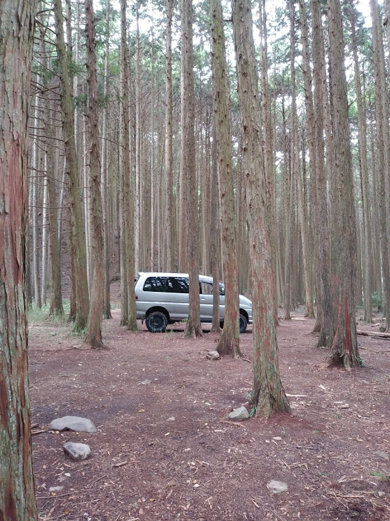 デリカスペースギアのええやん。・タングステンシルバーメタリック・アゲ系・車っていいですね✨に関するカスタム事例の投稿画像1枚目