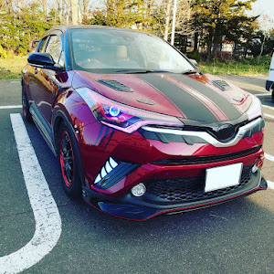 C-HR NGX50