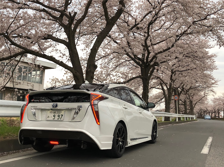 プリウスの桜とコラボに関するカスタム事例の投稿画像2枚目