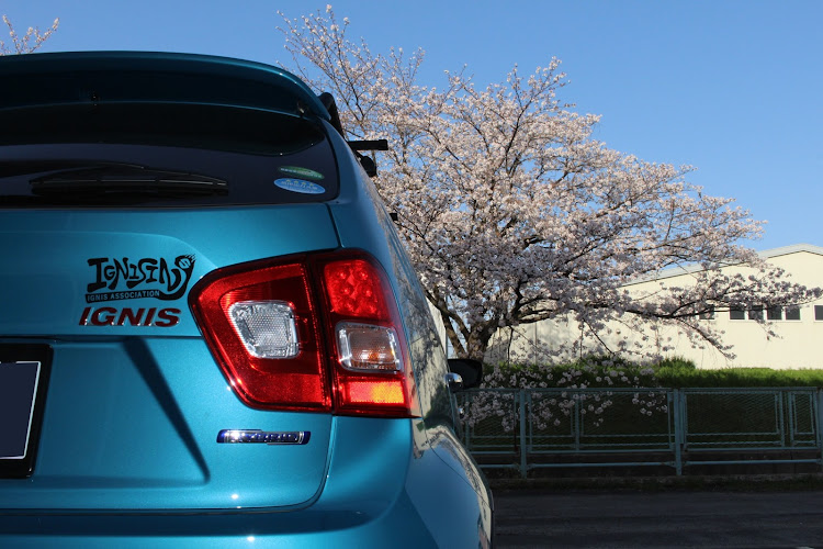 イグニスの桜と愛車・桜とコラボ・桜に関するカスタム事例の投稿画像7枚目