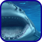 Shark blue sea  Icon