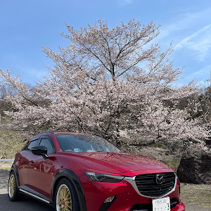 CX-3 DK8FW