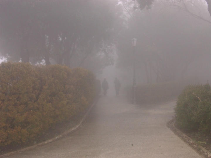 Avvolti nella nebbia di Daniela.Bonsignore