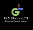 GLM ELECTRICS LIMITED Logo