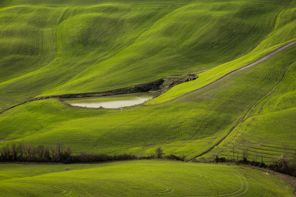 Onde Sinuose di christiandeledda