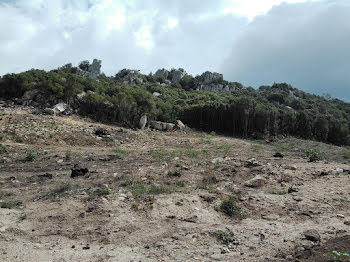 terrain à Foce (2A)