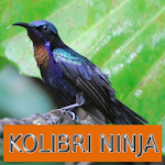 Cover Image of 下载 Master Kicau Kolibri Ninja 1.0 APK