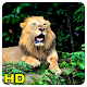 Download lion wallpaper For PC Windows and Mac 1.0