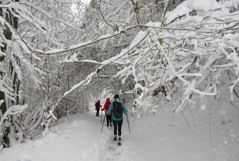 Camminare nella soffice neve fresca di Laucol
