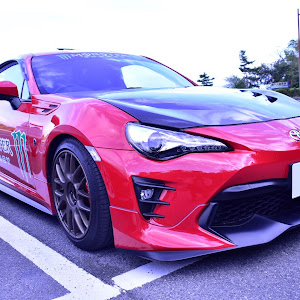 86 ZN6