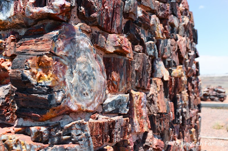 agate house petrified forest