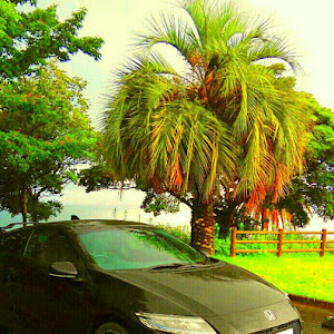 CR-Z ZF2