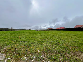 maison neuve à Bellegarde-sur-Valserine (01)