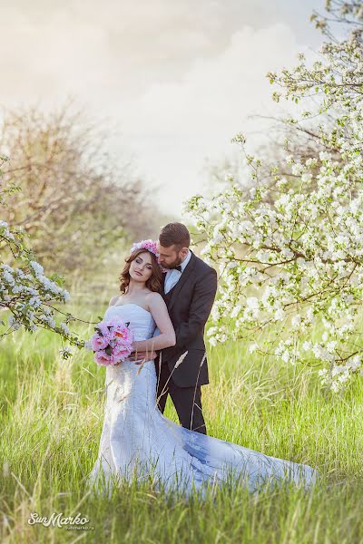 Wedding photographer Aleksey Lifanov (sunmarko). Photo of 27 January 2017