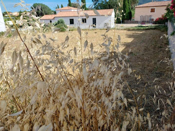 terrain à Roquebrune-sur-Argens (83)