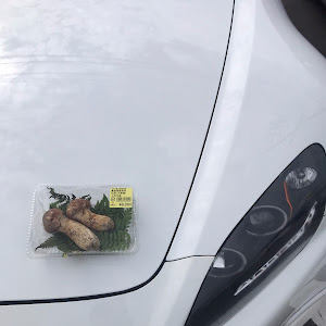S2000 AP1