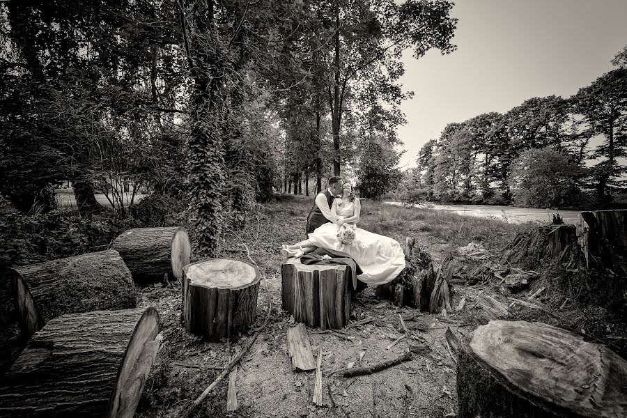 Photographe de mariage Micaela Segato (segato). Photo du 6 août 2019