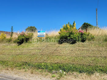 terrain à Villiers-Saint-Georges (77)