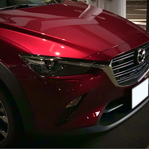 CX-3 DK5AW