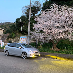 プリウスα ZVW40W