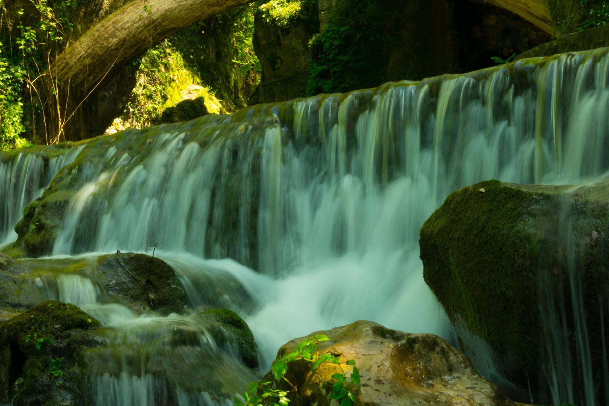 natura di claudia_cla_albertosi