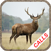 Vstd hunting apps