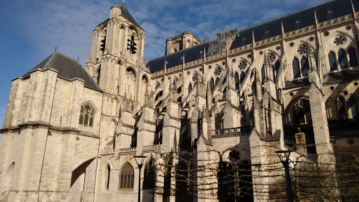 La cathédrale de Bourges en lu