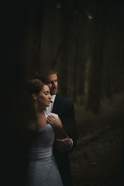 Wedding photographer Tibor Erdősi (erdositibor). Photo of 8 June 2016