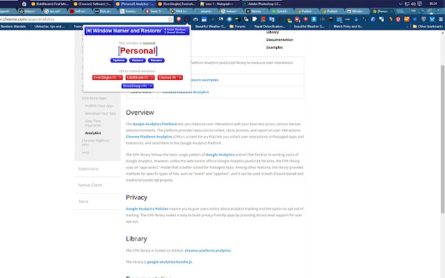 Window Namer and Restorer BETA chrome extension