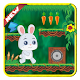 Download Rabbit Bunny running-Adventure For PC Windows and Mac 1.0