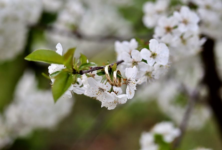 Fotograf ślubny Katarzyna Zimna (kzimnafoto). Zdjęcie z 24 lutego 2020