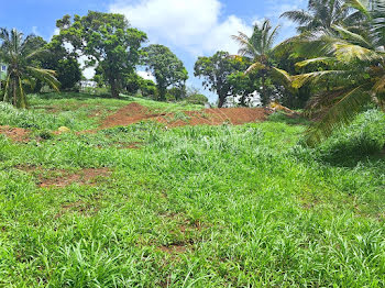 terrain à Fort de france (972)