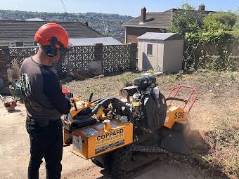 Stump Grinding album cover