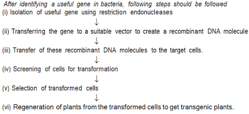 Solution Image