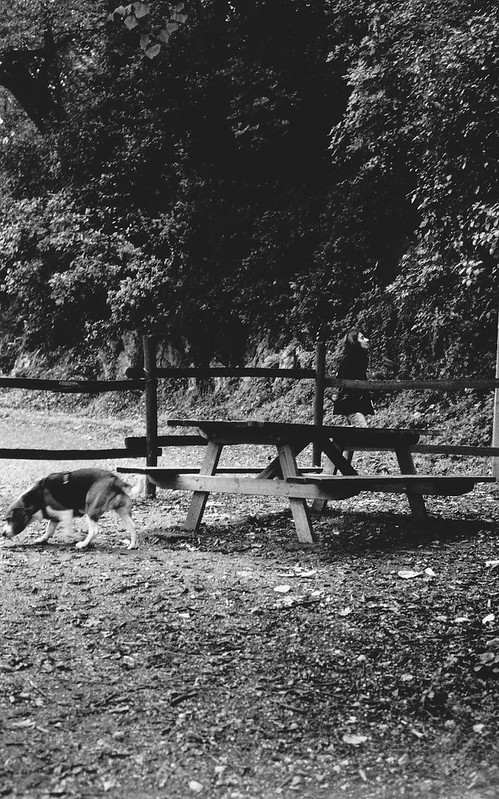 The Curious di Fotografo_Argentico