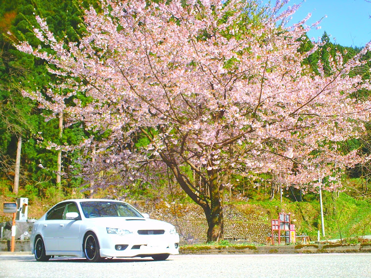 レガシィB4のドライブ・桜とコラボ・桜と愛車・#レガシィB4に関するカスタム事例の投稿画像3枚目