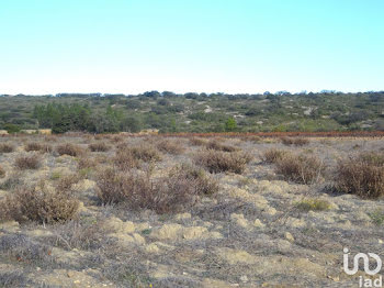 terrain à Fitou (11)